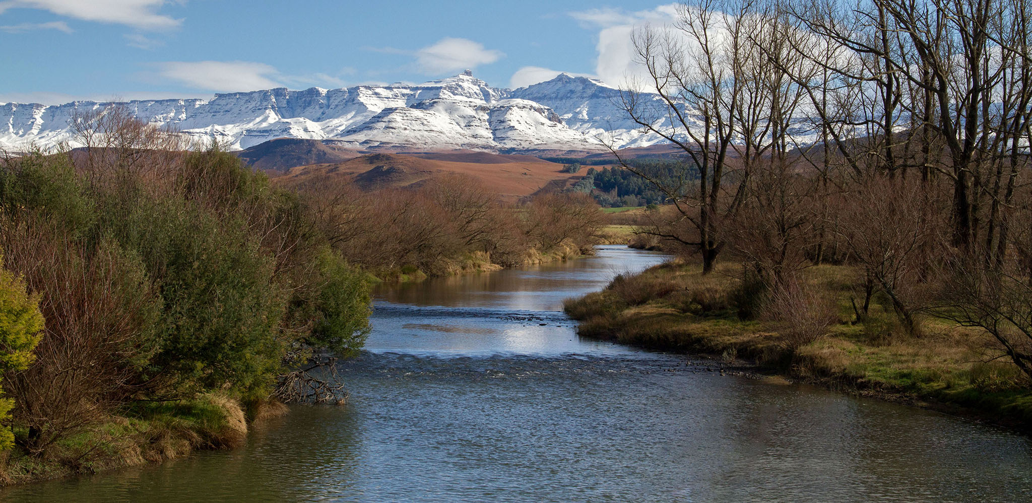 Underberg